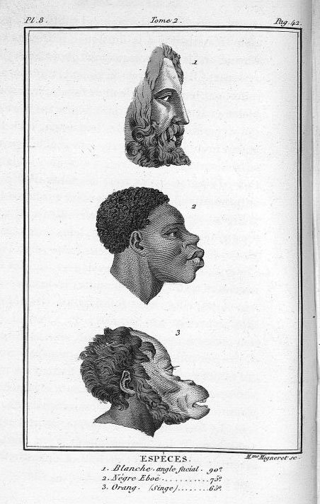 Ilustração no livro "História natural do gênero humano" de J.J.Virey - ed. 1824